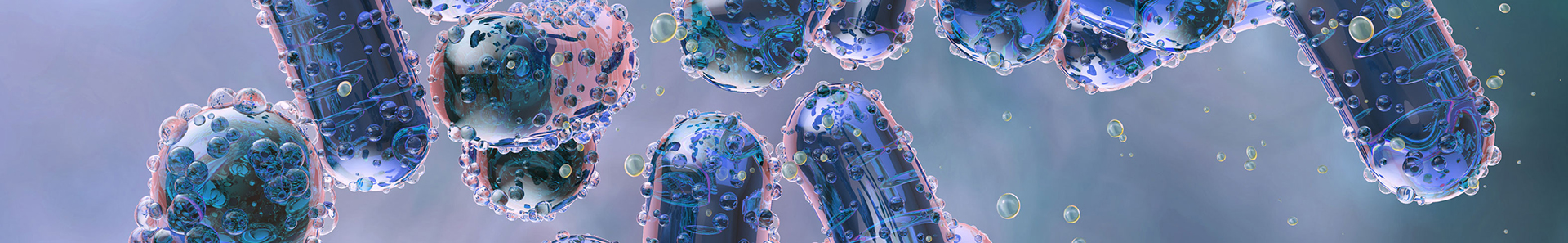 Sponge capsules